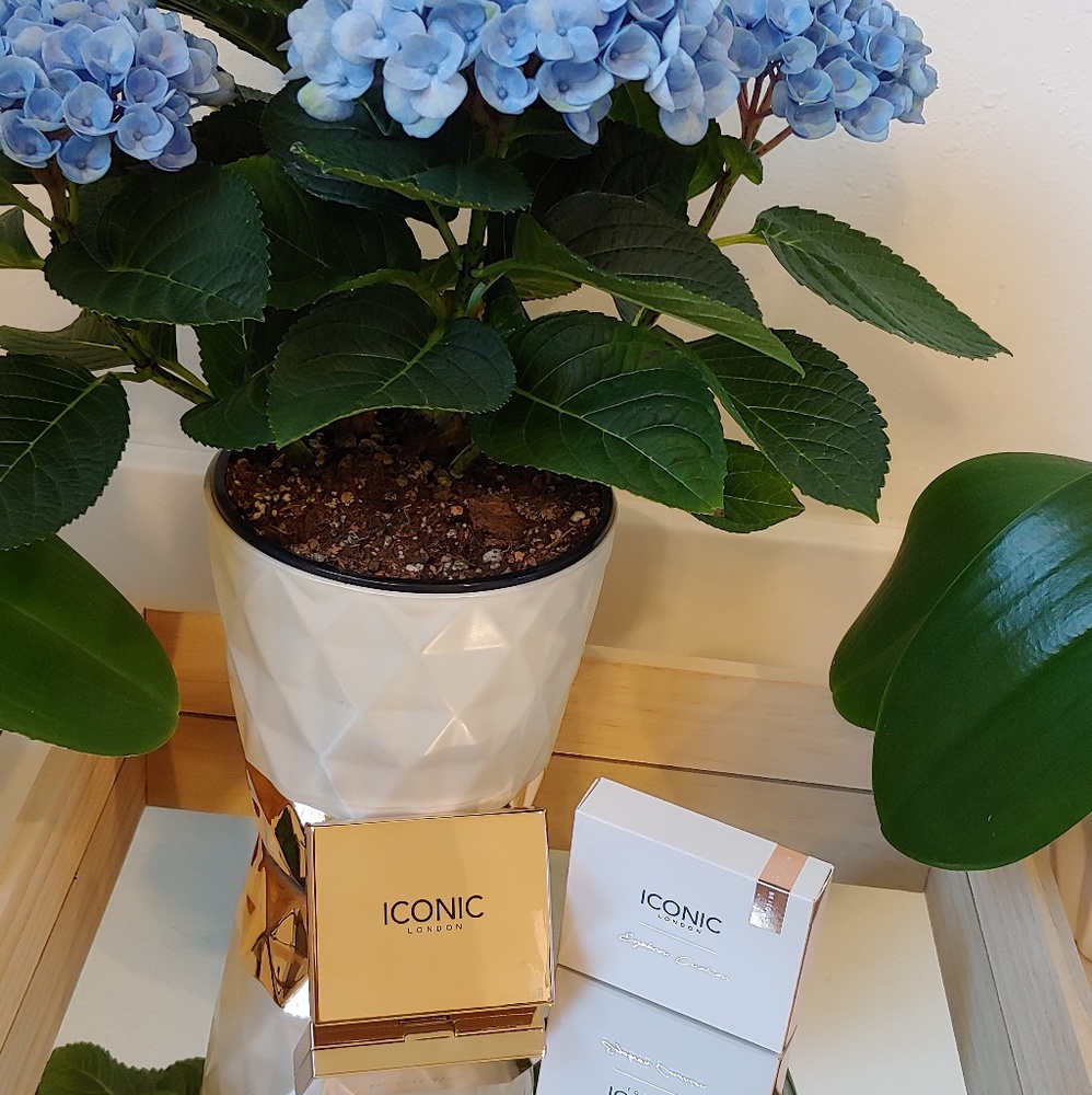 Iconic London Brow Cushion